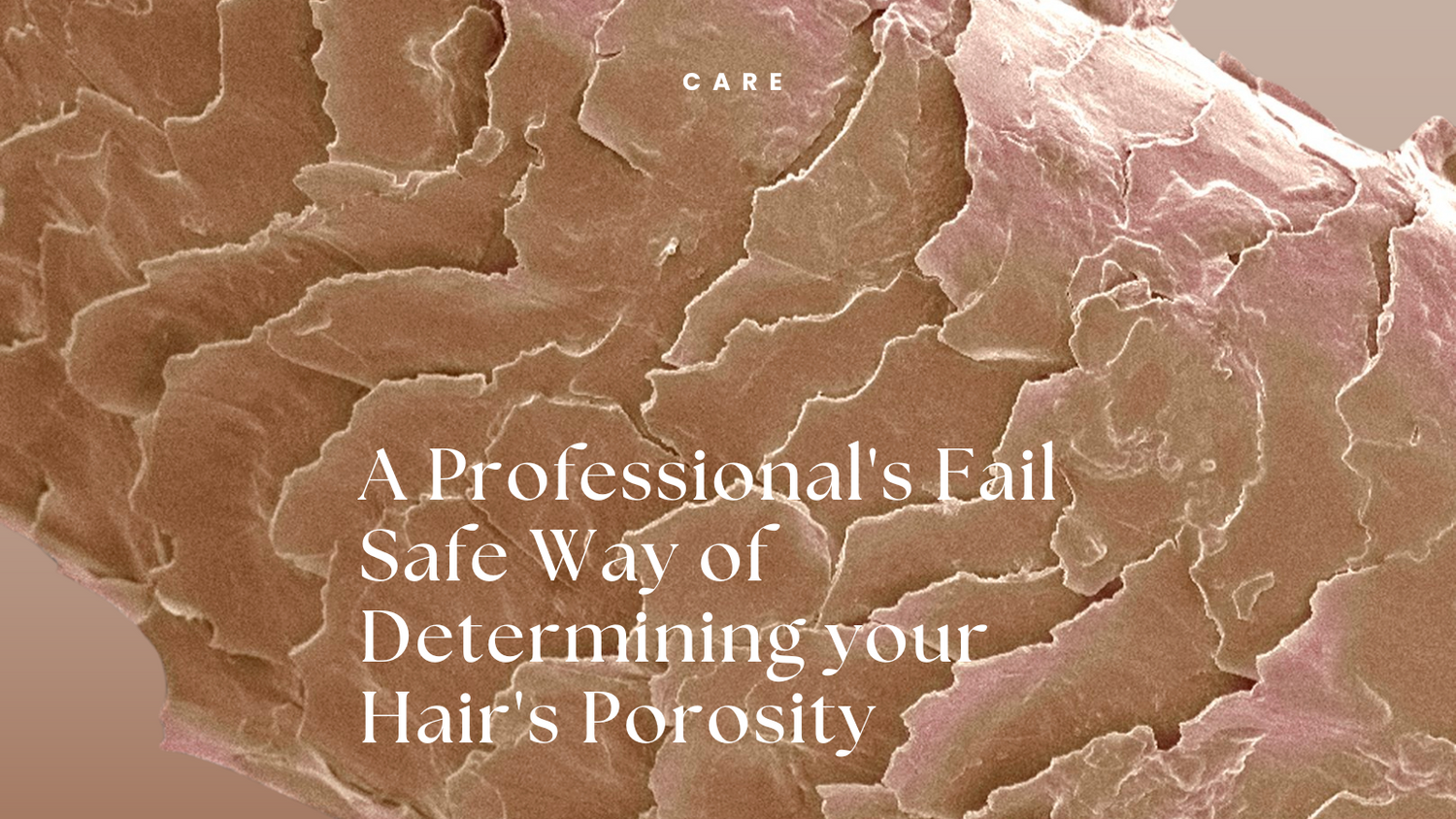A professional's fail safe way of determining your hair's porosity - Organic SUKU